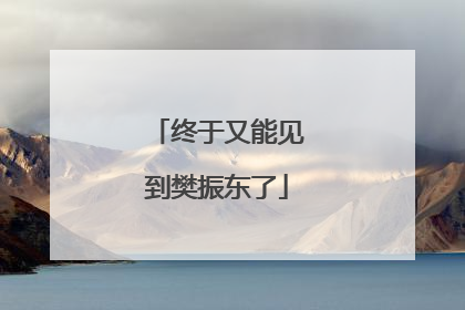 终于又能见到樊振东了
